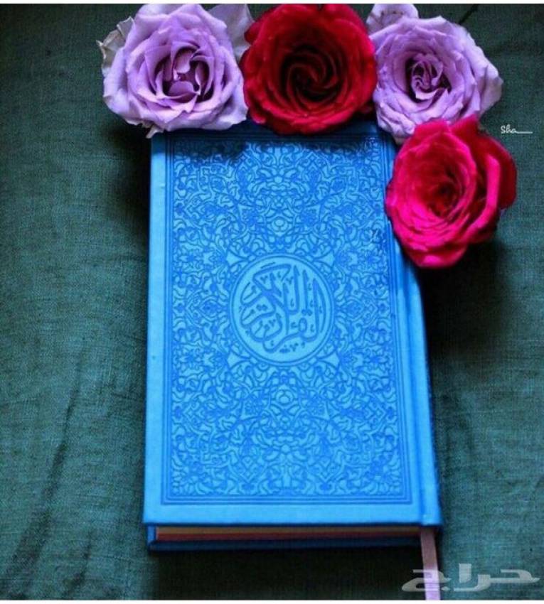 Coran arabe warch bleu Format 20x14mm